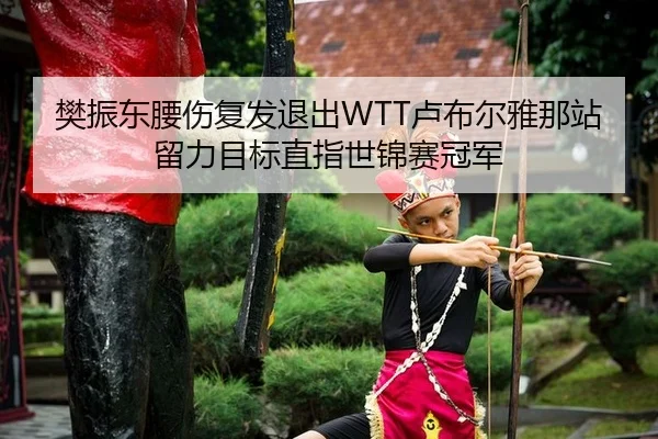 樊振东腰伤复发退出WTT卢布尔雅那站留力目标直指世锦赛冠军